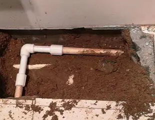 源城测漏水哪家好