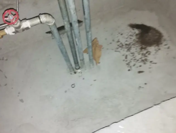 源城卫生间测漏水价格明细