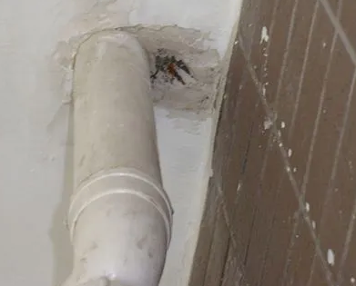 源城漏水检测哪家好